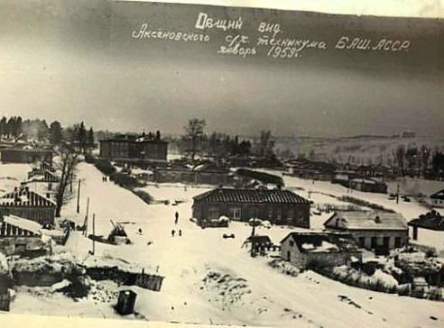 Карта села раевский с улицами альшеевского района