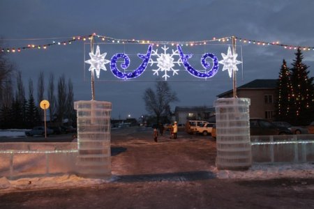 ВЕСЕЛО , ВЕСЕЛО ВСТРЕТИЛИ НОВЫЙ ГОД ! 